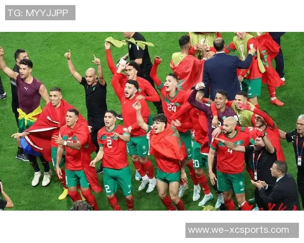 沃兹尼亚奇与科维托娃的精彩对决分析与球迷热议分享